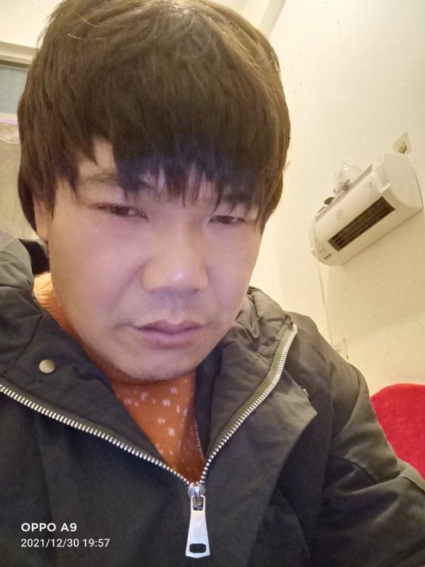 小鸟找窝的第二张照片--仙游婚介网